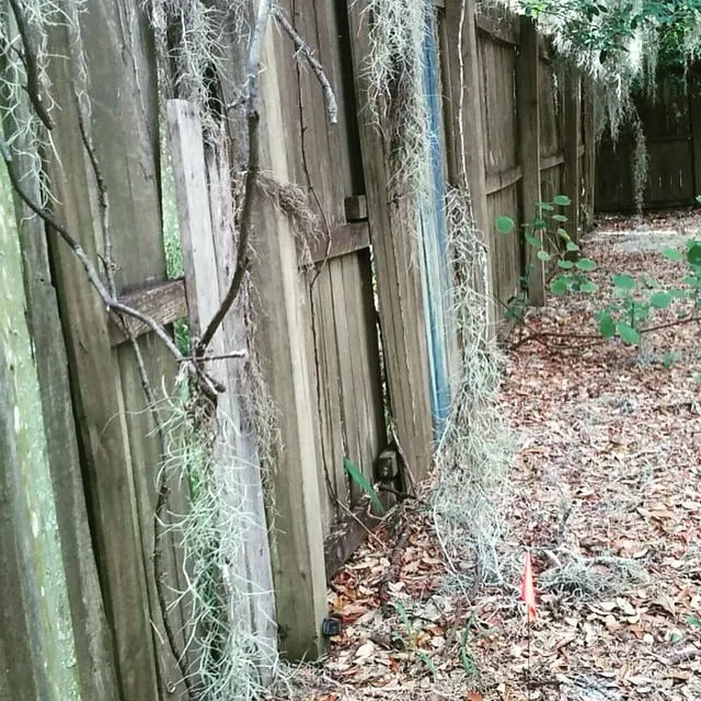 Custom landscape installation in Bartow, FL by Osofla Fencing and Landscaping