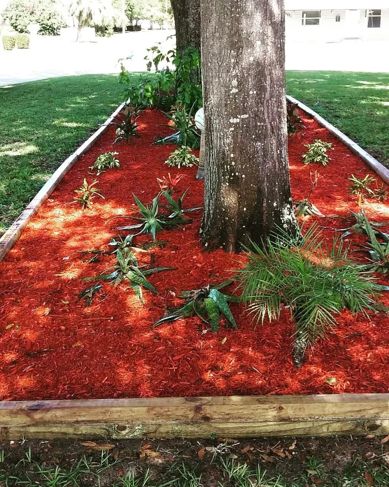 Local landscape design for outdoor upgrades across Bartow, FL - Osofla Fencing and Landscaping