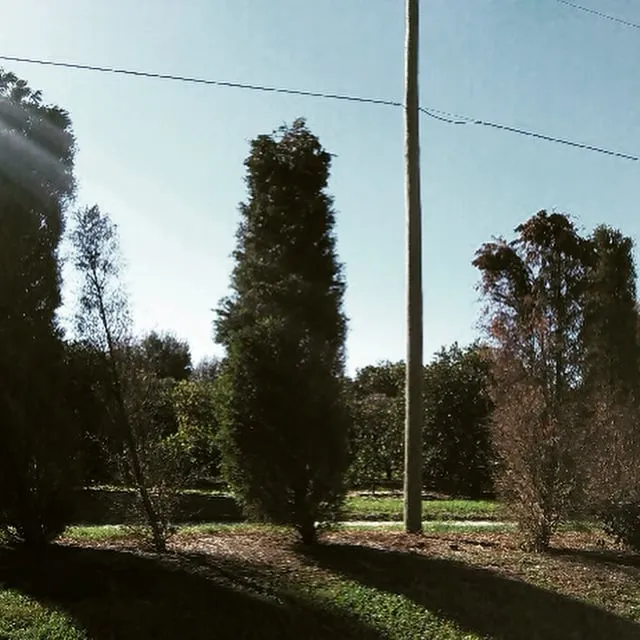 Reliable yard maintenance in Bartow, FL by Osofla Fencing and Landscaping