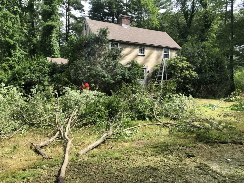 Local outdoor landscaping in Auburndale, MA - Osorio Brothers Landscaping
