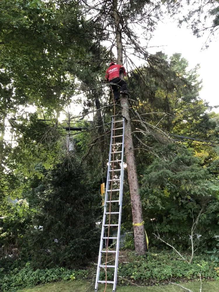 Professional residential landscaping for homes in Auburndale, MA by Osorio Brothers Landscaping