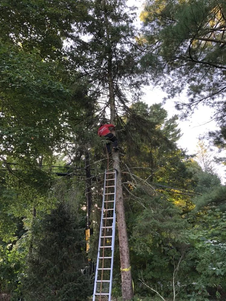 Professional lawn care service in Auburndale, MA - Osorio Brothers Landscaping