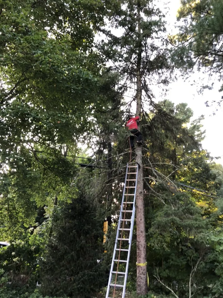 Local landscape installation in Auburndale, MA - Osorio Brothers Landscaping