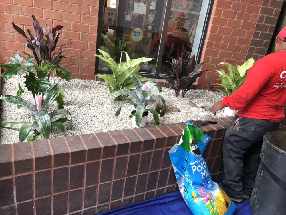 Trusted yard maintenance in Auburndale, MA by Osorio Brothers Landscaping