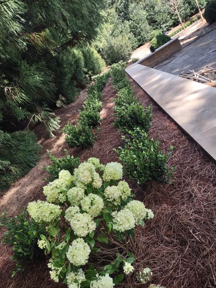 Top-rated landscaping services near you across Snellville, GA - Osorio Landscape