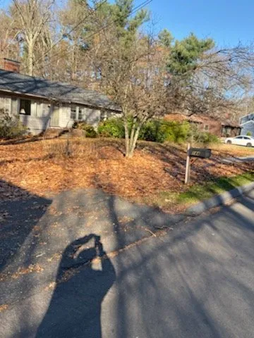 Trusted lawn care service for homes across Waltham, MA - Osorio Landscaping & Tree Service