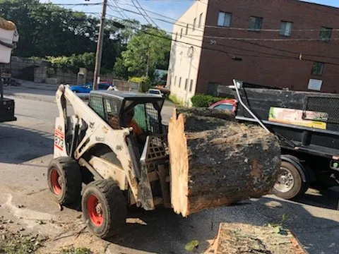 Reliable lawn care service in Waltham, MA - Osorio Landscaping & Tree Service