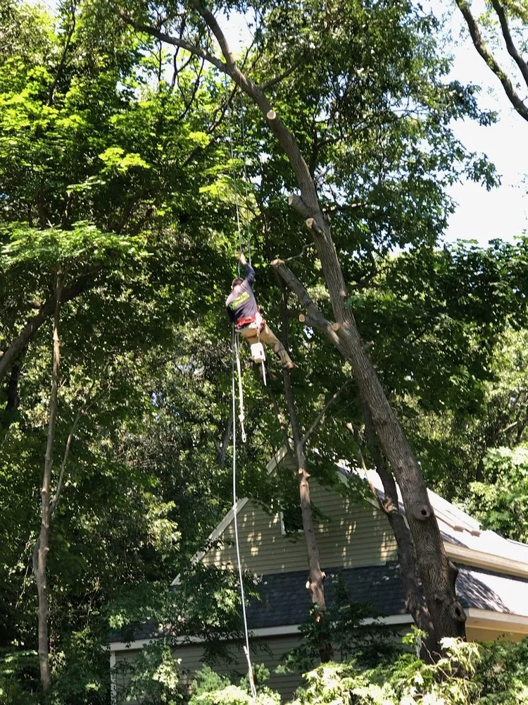 Trusted outdoor landscaping with custom design across Waltham, MA - Osorio Landscaping & Tree Service