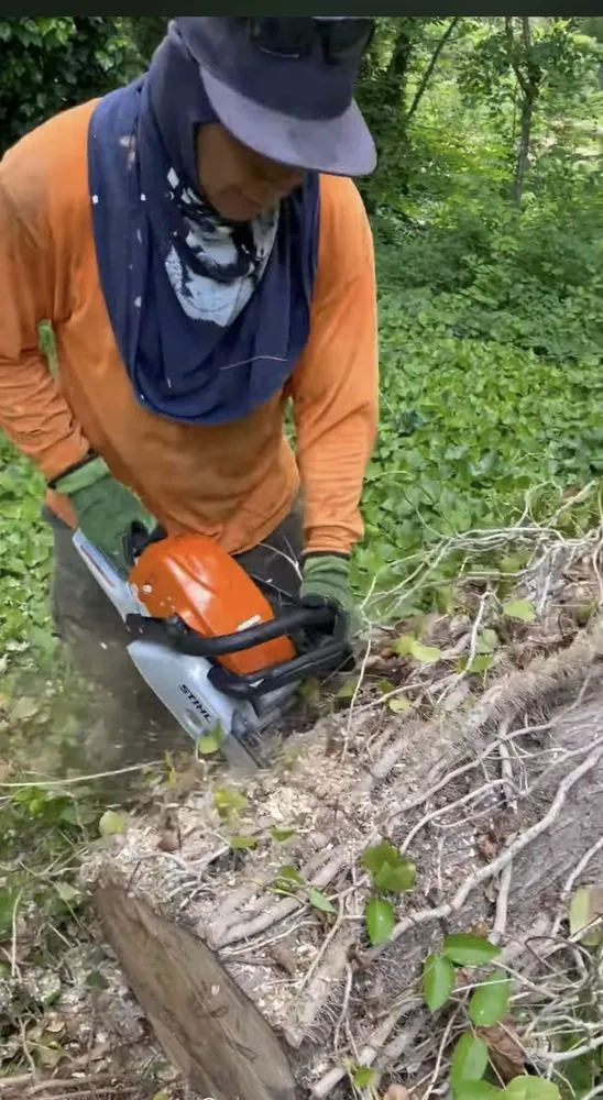 Custom landscaping services for year-round maintenance in Austell, GA by Osorio Landscaping