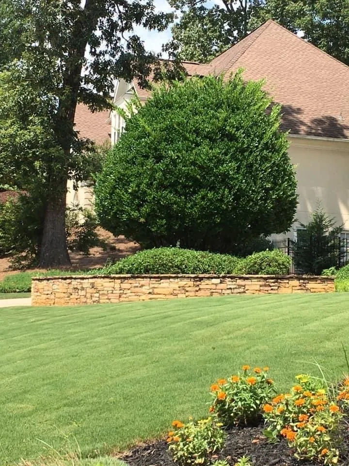 Expert yard cleanup service experts serving Austell, GA - Osorio Landscaping