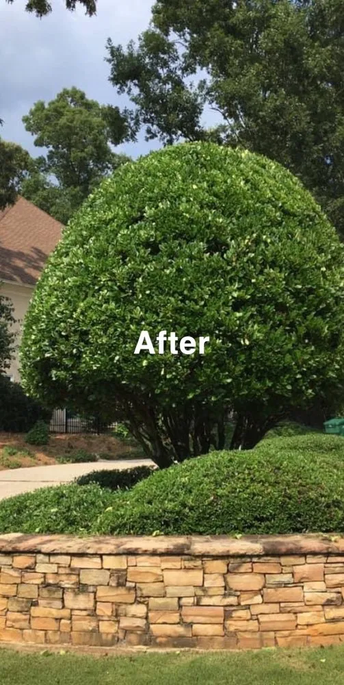 Professional lawn care service in Austell, GA by Osorio Landscaping
