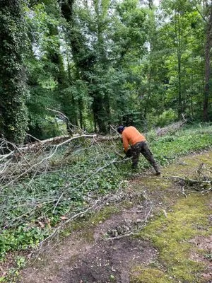 Osorio Landscaping Logo