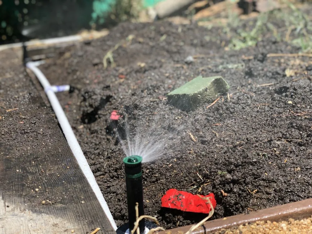 Custom lawn mowing service experts serving San Leandro, CA - Osorio Landscaping