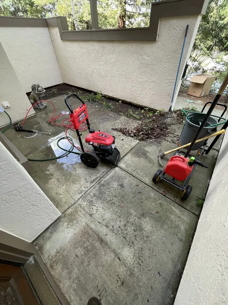 Custom yard cleanup service in San Leandro, CA by Osorio Landscaping