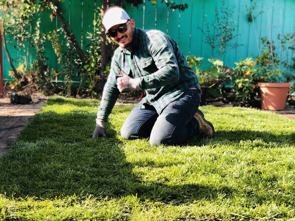 Reliable garden landscaping in San Leandro, CA - Osorio Landscaping