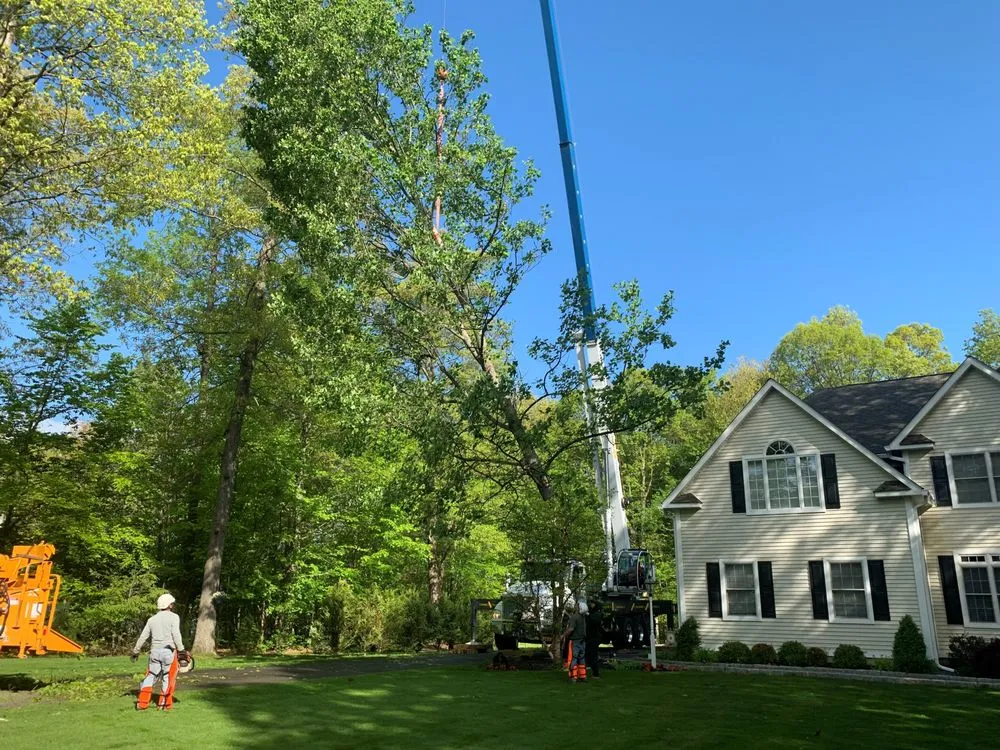 Top-rated yard cleanup service with custom design across Lagrangeville, NY - Osorio Tree Service