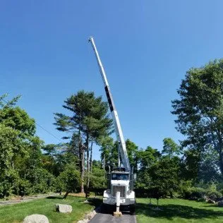 Professional outdoor landscaping in Lagrangeville, NY - Osorio Tree Service