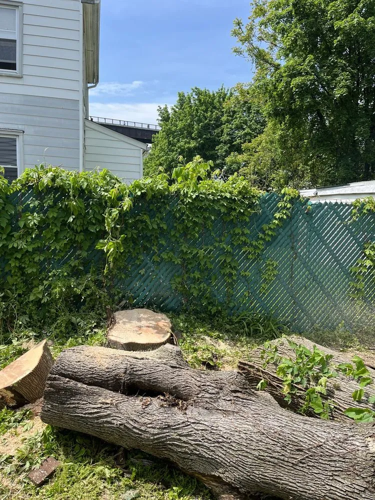 Trusted yard maintenance in Lagrangeville, NY by Osorio Tree Service