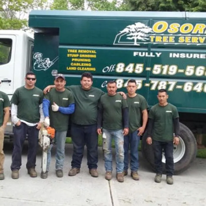 Top-rated yard maintenance experts serving Lagrangeville, NY - Osorio Tree Service