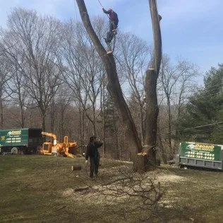 Affordable yard maintenance in Lagrangeville, NY by Osorio Tree Service