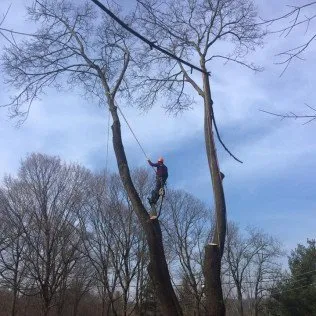 Top-rated residential landscaping for residential properties in Lagrangeville, NY by Osorio Tree Service