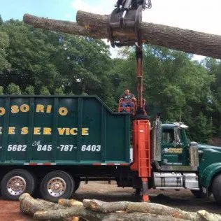 Reliable landscape installation in Lagrangeville, NY by Osorio Tree Service