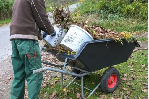 Top-rated yard cleanup service in Albuquerque, NM by Oso’s Yards And More