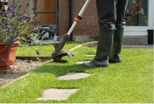 Expert lawn care service with custom design in Albuquerque, NM by Oso’s Yards And More