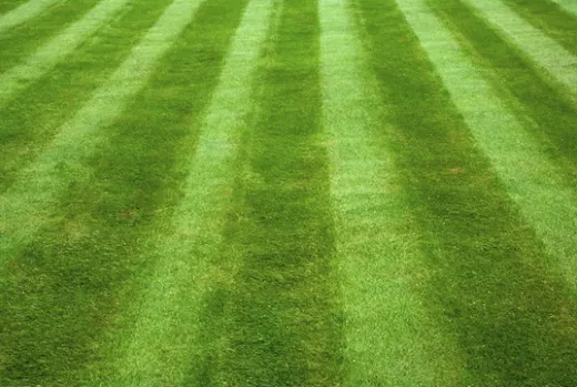 Local landscape installation near you across Albuquerque, NM - Oso’s Yards And More