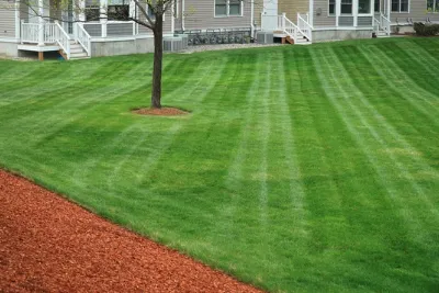 Professional residential landscaping experts serving Albuquerque, NM - Oso’s Yards And More