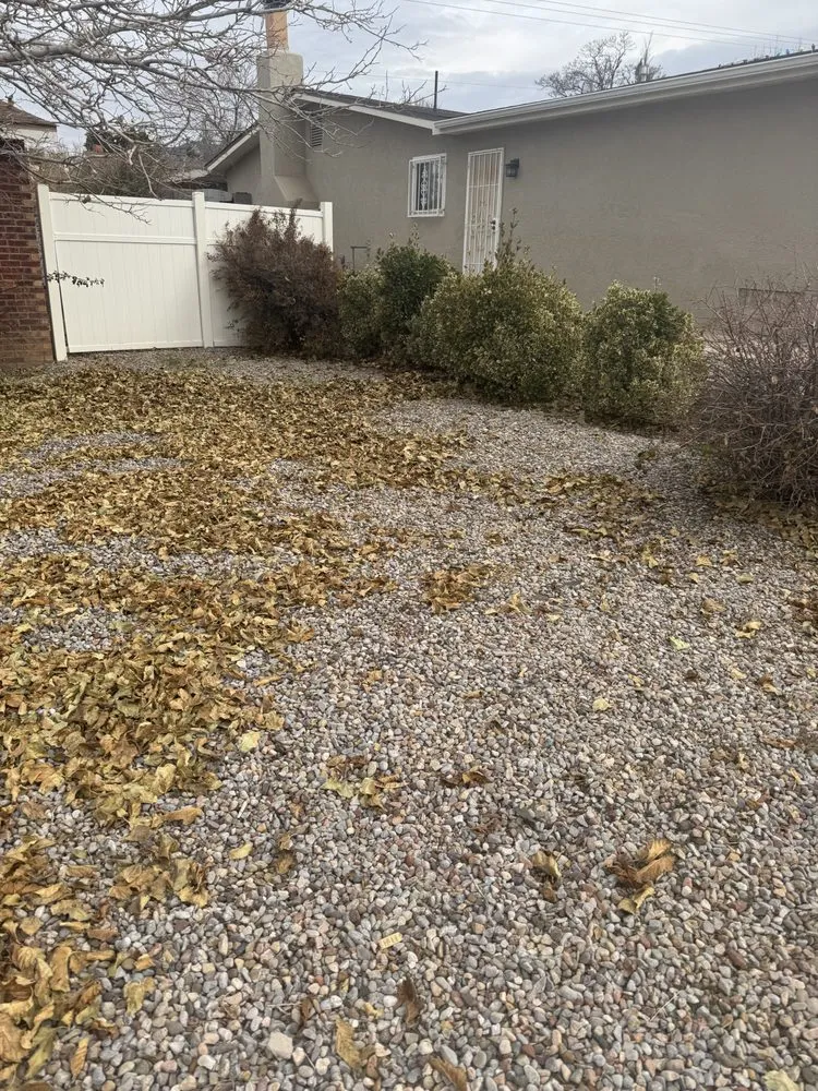Custom yard maintenance in Albuquerque, NM by Oso’s Yards And More