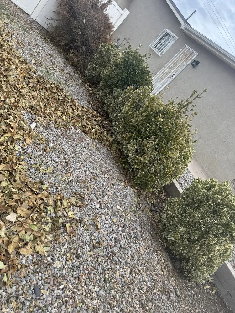 Trusted residential landscaping in Albuquerque, NM by Oso’s Yards And More