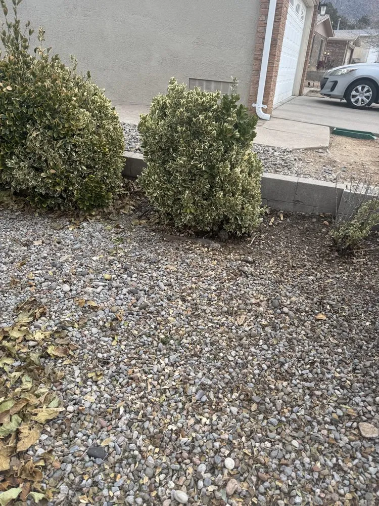 Professional landscape design in Albuquerque, NM by Oso’s Yards And More