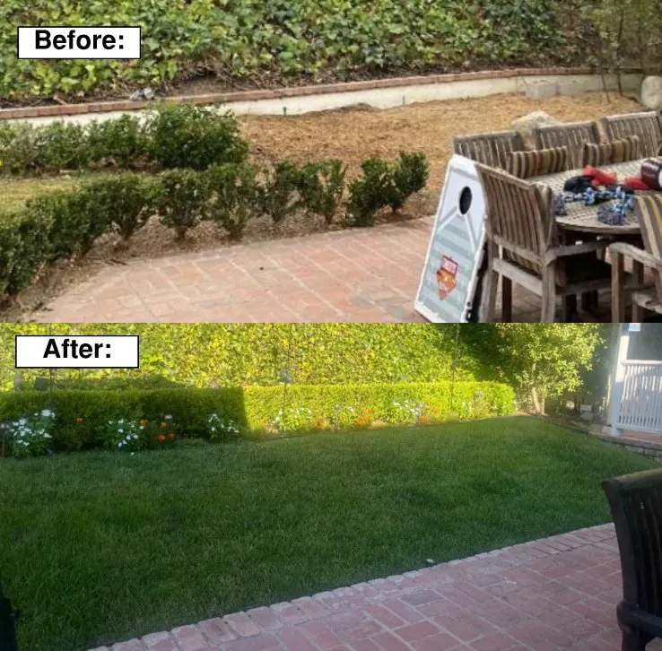 Top-rated yard cleanup service for residential properties across San Luis Obispo, CA - Osprey Demolition & Services