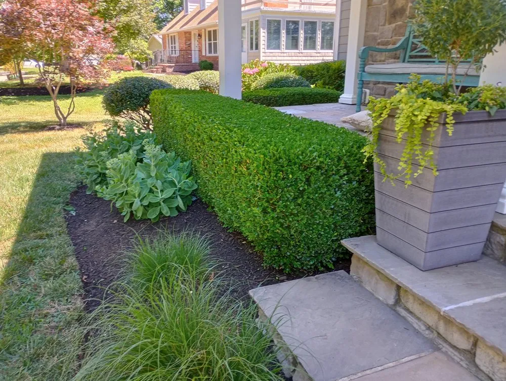 Reliable garden landscaping for outdoor upgrades across Queenstown, MD - Osprey Landscaping