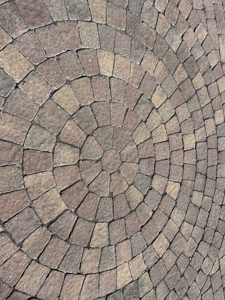 Top-rated lawn care service experts serving Merritt Island, FL - Osprey Outdoor Group