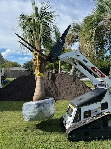 Affordable lawn care service for beautiful yards in Merritt Island, FL by Osprey Outdoor Group