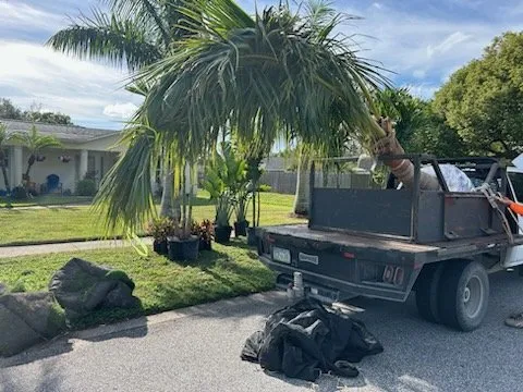 Expert lawn mowing service experts serving Merritt Island, FL - Osprey Outdoor Group