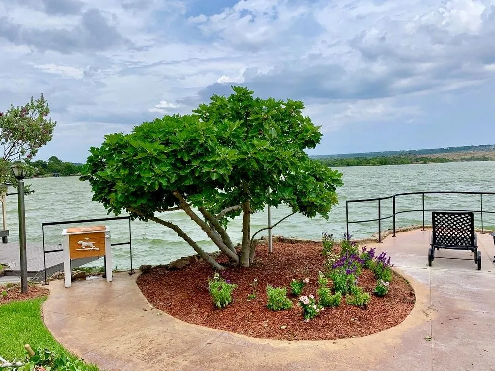 Custom garden landscaping in Leander, TX - OSR Exteriors