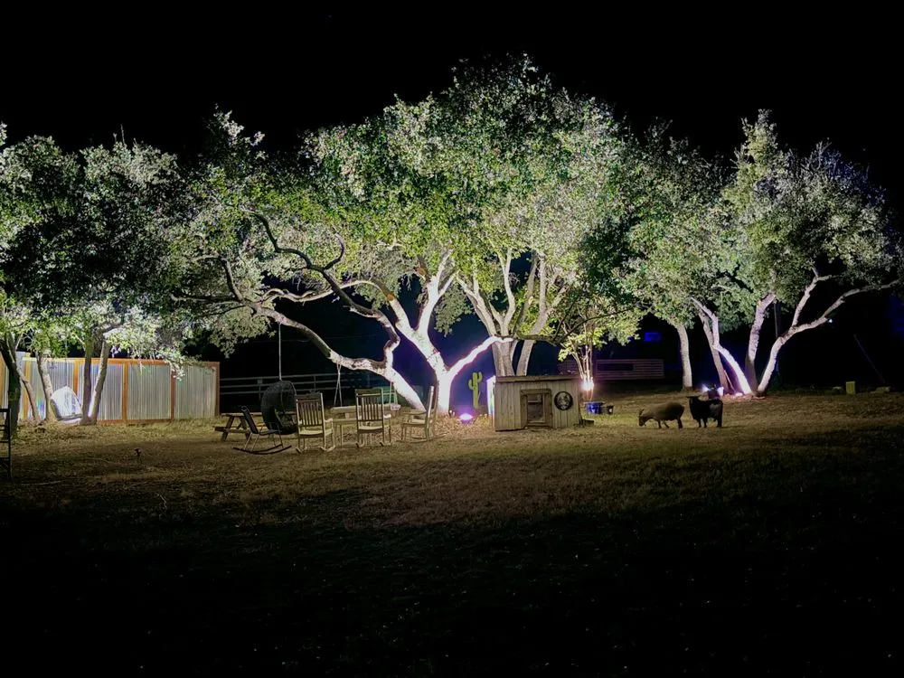 Top-rated lawn mowing service in Leander, TX - OSR Exteriors