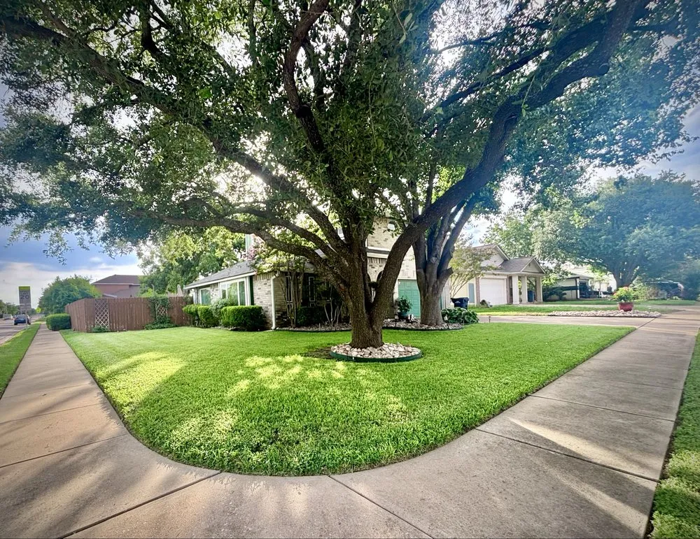 Trusted garden landscaping experts serving Leander, TX - OSR Exteriors