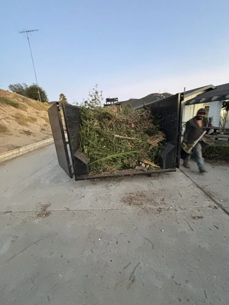 Expert landscaping services with custom design across Fallbrook, CA - OSR