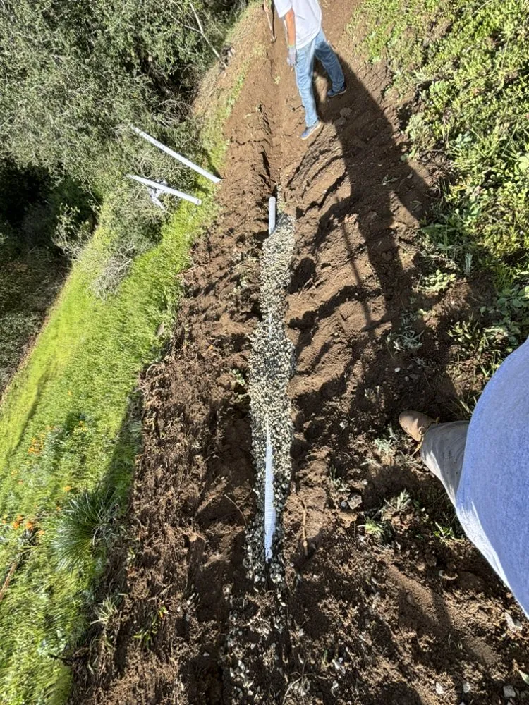 Expert landscape design in Fallbrook, CA - OSR