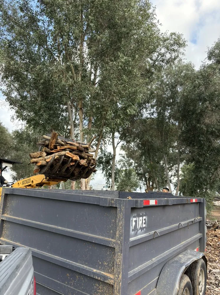 Local yard maintenance for beautiful yards across Fallbrook, CA - OSR