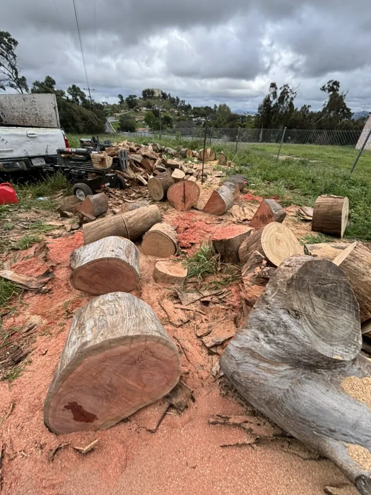 Expert landscape installation in Fallbrook, CA - OSR