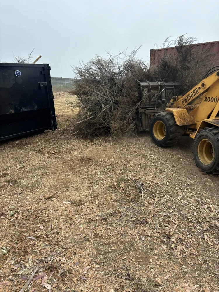 Local yard maintenance in Fallbrook, CA - OSR