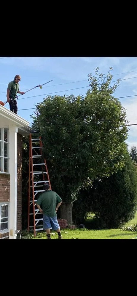 Trusted lawn mowing service near you in Allentown, PA by Oss Landscaping