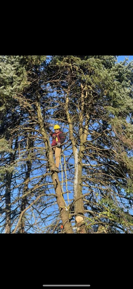 Custom outdoor landscaping for homes across Allentown, PA - Oss Landscaping