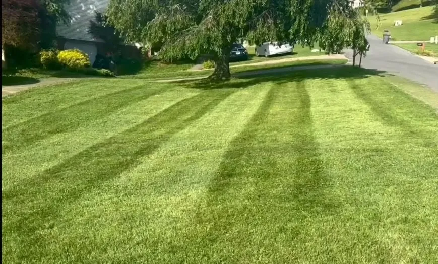 Top-rated yard maintenance for year-round maintenance across Kingsport, TN - Osteen Brothers