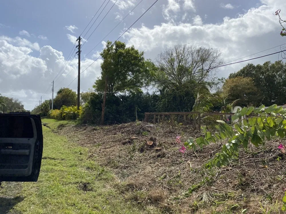 Reliable landscape design in Vero Beach, FL by Osteen Properties